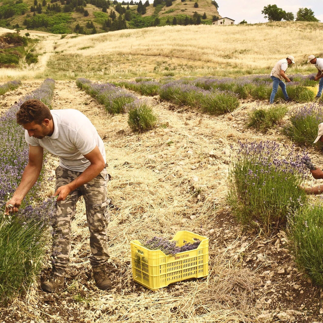 Furtuna Skin natural organic rejuvenating farming skincare
