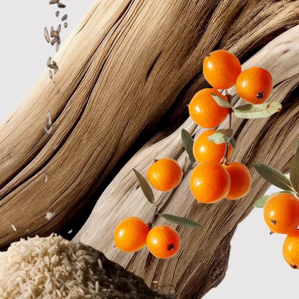 seed oil skin care natural ingredients