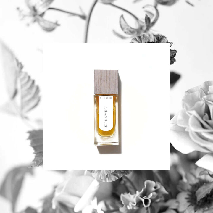 dream fragrance best seller
