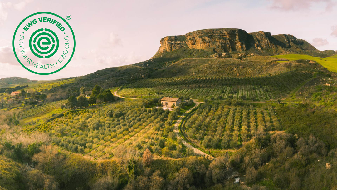 EWG verified Clean Beauty Furtuna Skin