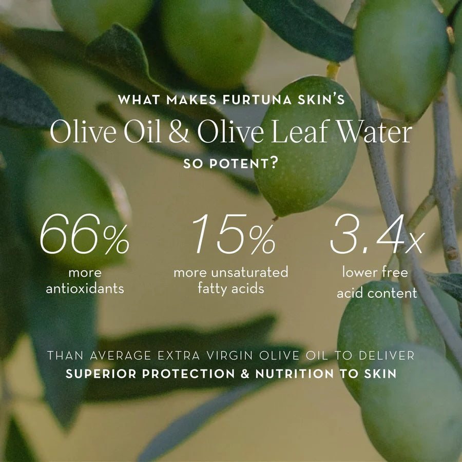olive oil leaf water skincare results antioxidants