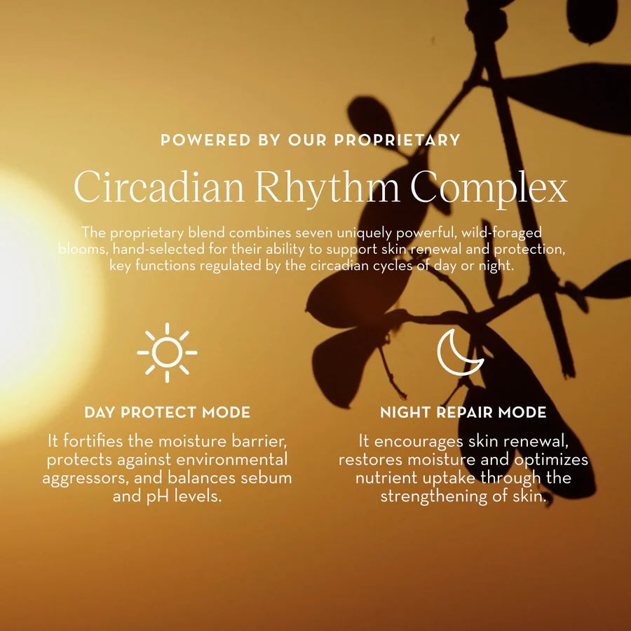 furtuna skin bakuchiol natural retinol alternative