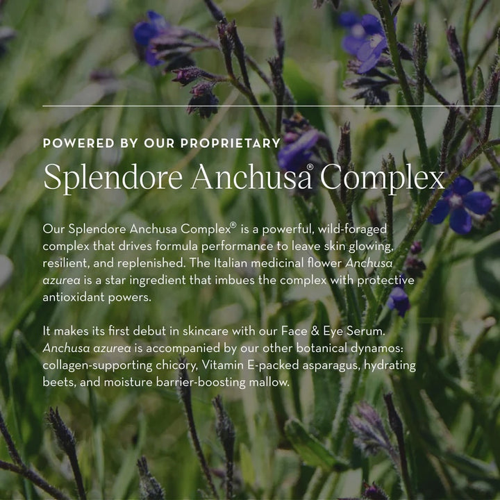 furtuna skin face eye serum skin care organic ingredients